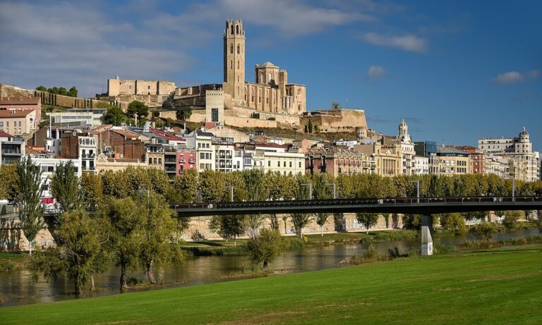 Veterinarios en Lleida
