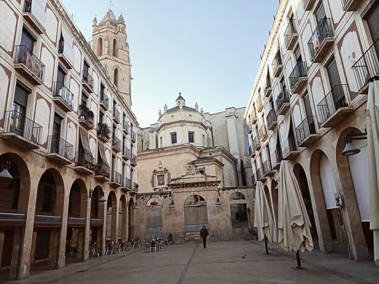 Veterinarios en Reus