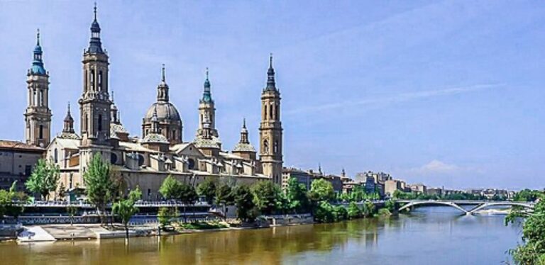 Veterinarios en Zaragoza